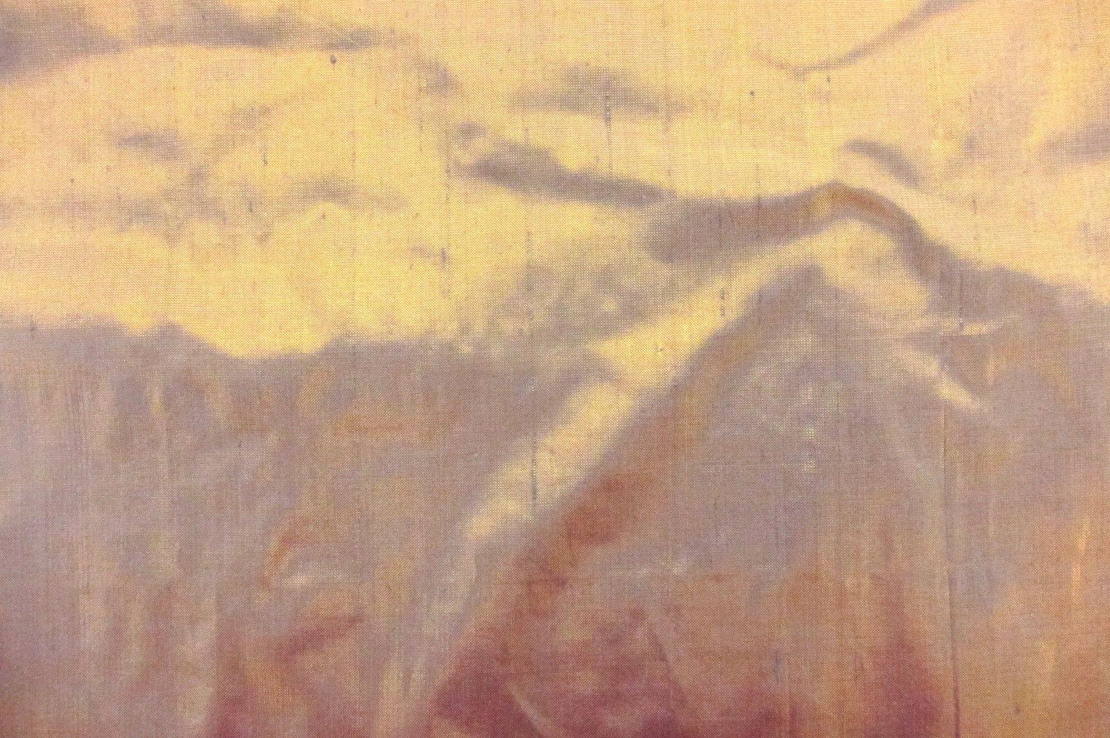 Metallic Silk Shantung0