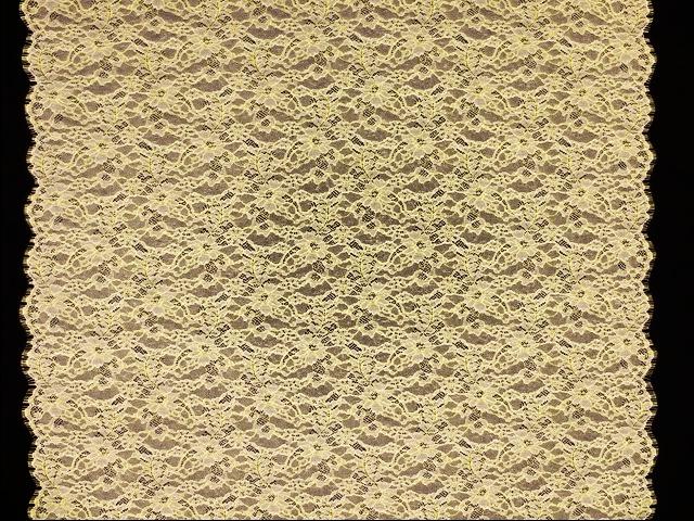 Metallic Chantilly Lace3