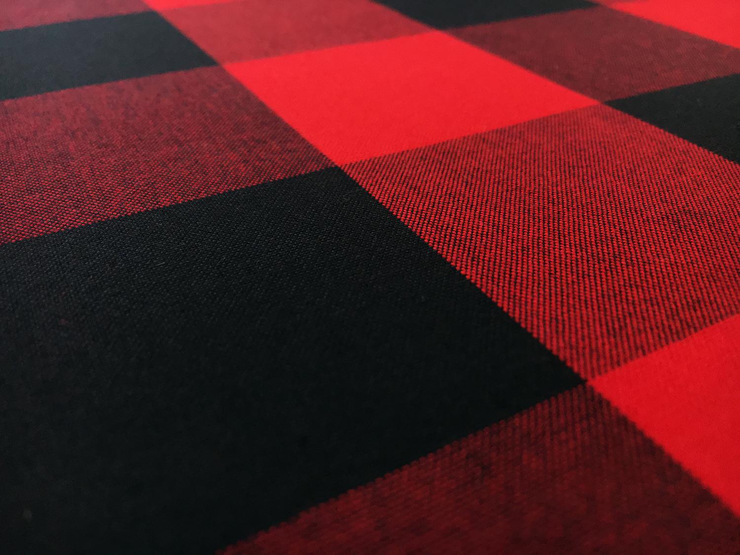 Carolina Cotton Gingham in in Scarlet2