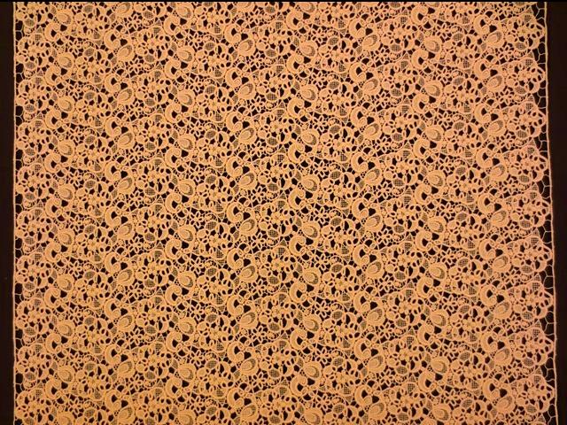 Guipure Lace3
