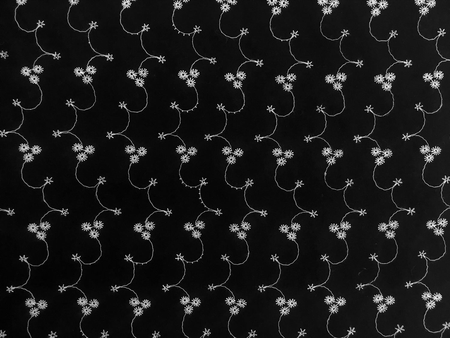 Cotton Eyelet with Embroidered Flowers in Black & White0