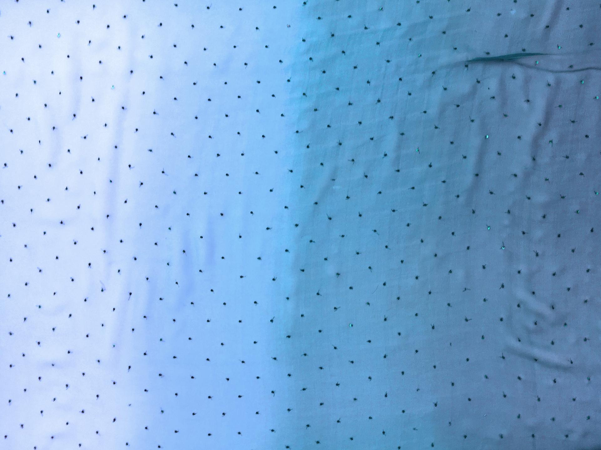 Sequins on Ombré Silk Chiffon in Blue0