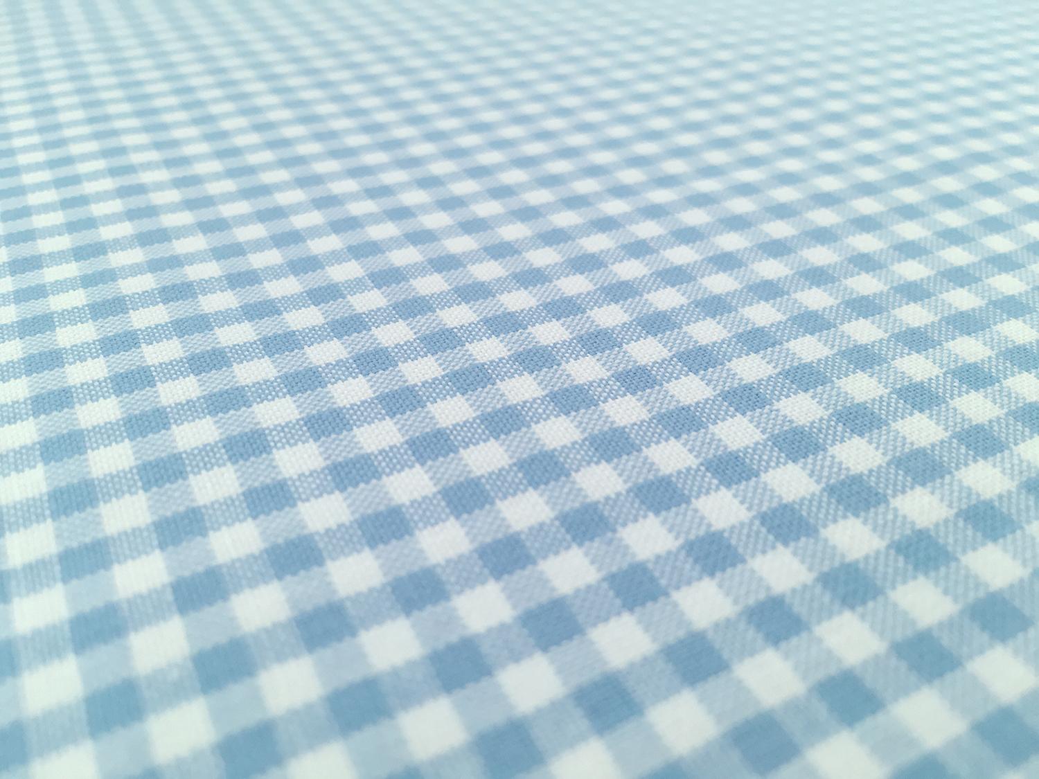 Carolina Cotton Gingham in Pond2
