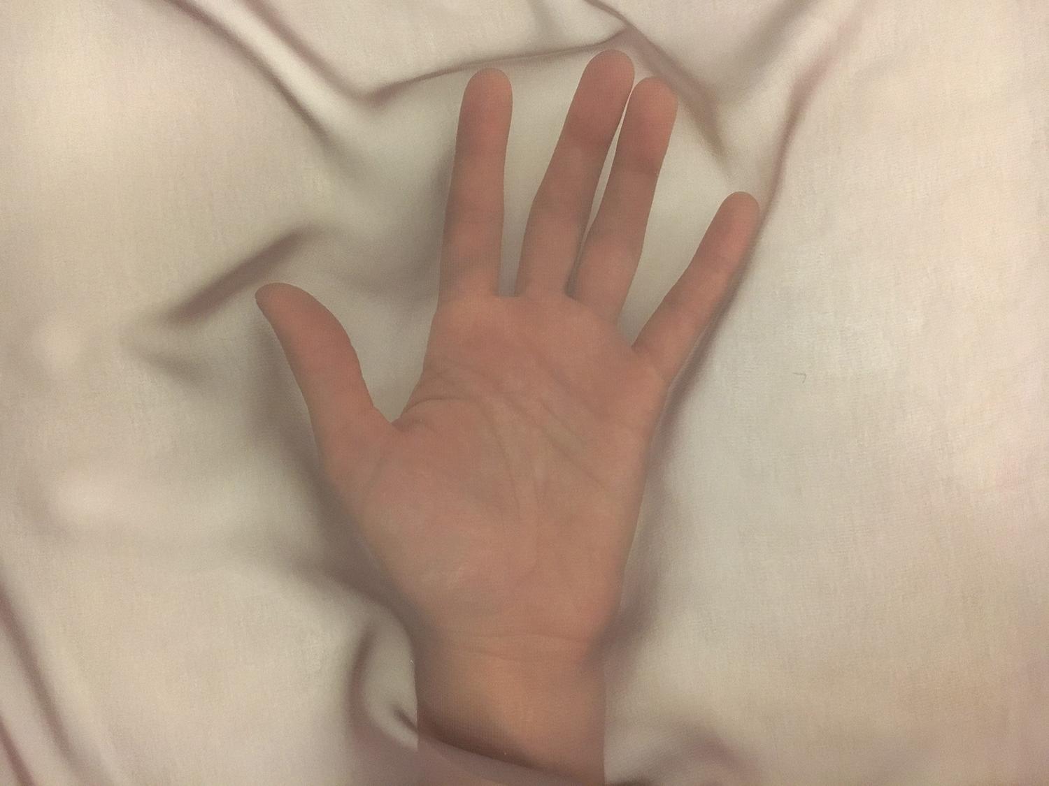 Japanese Polyester Chiffon in Chocolate Brown2