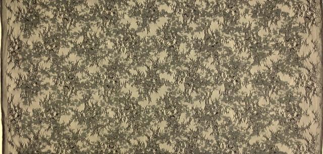 Embroidered Chantilly Lace3