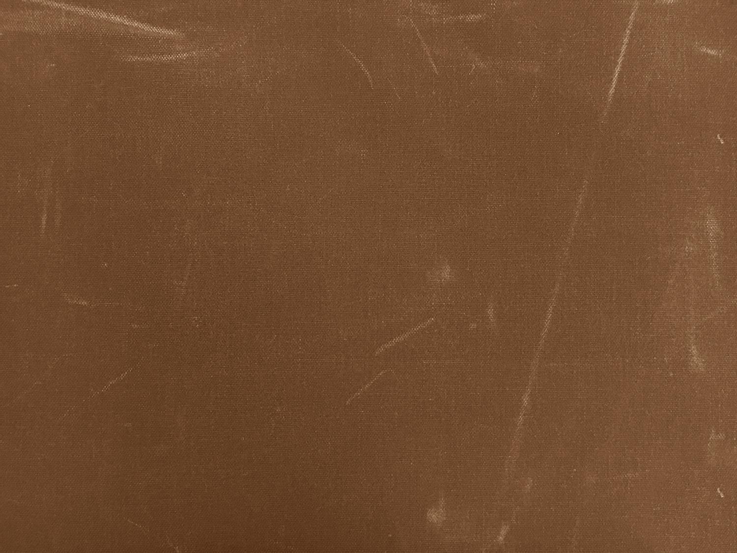 Cotton Wax Cloth in Field Tan1