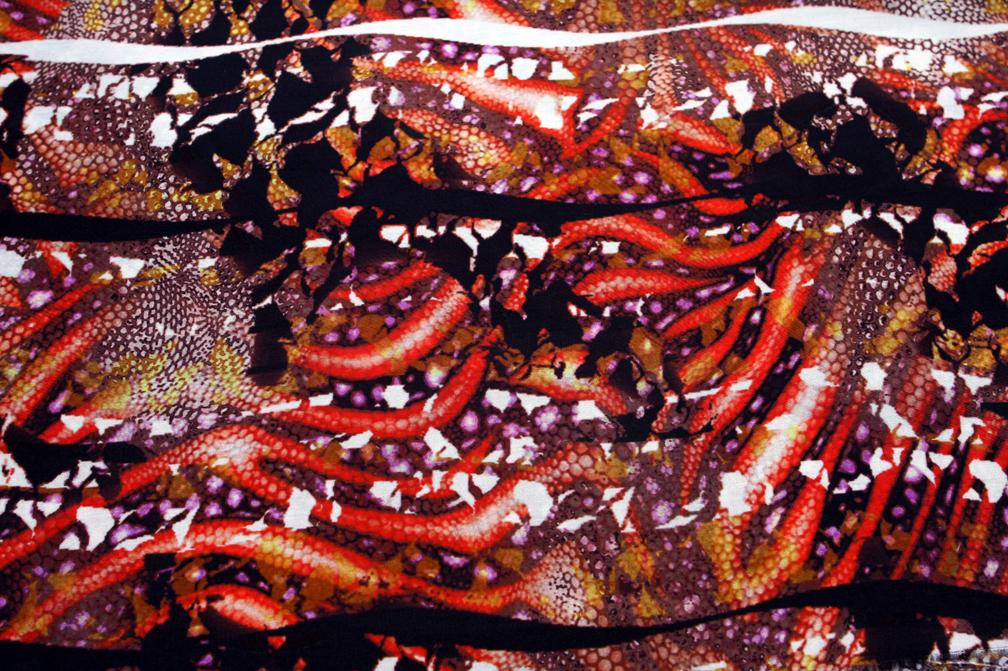 Cotton Silk Voile Print0