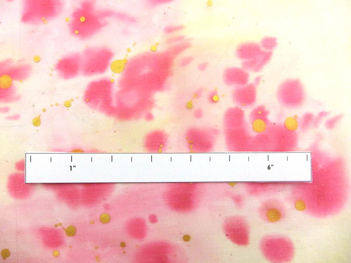 Hand Painted Silk Chiffon2