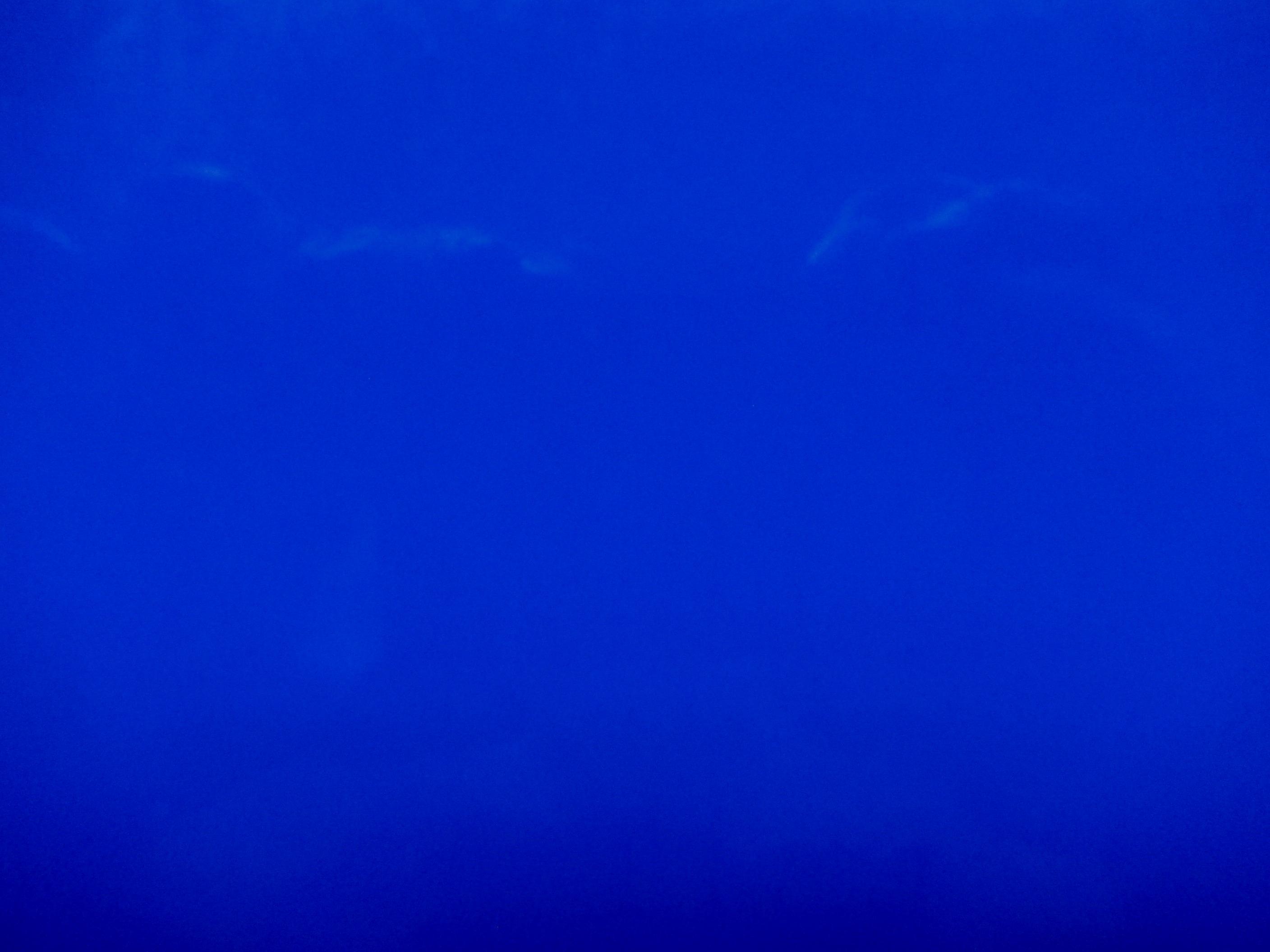 Upholstery Wetlook Vinyl in Blue0