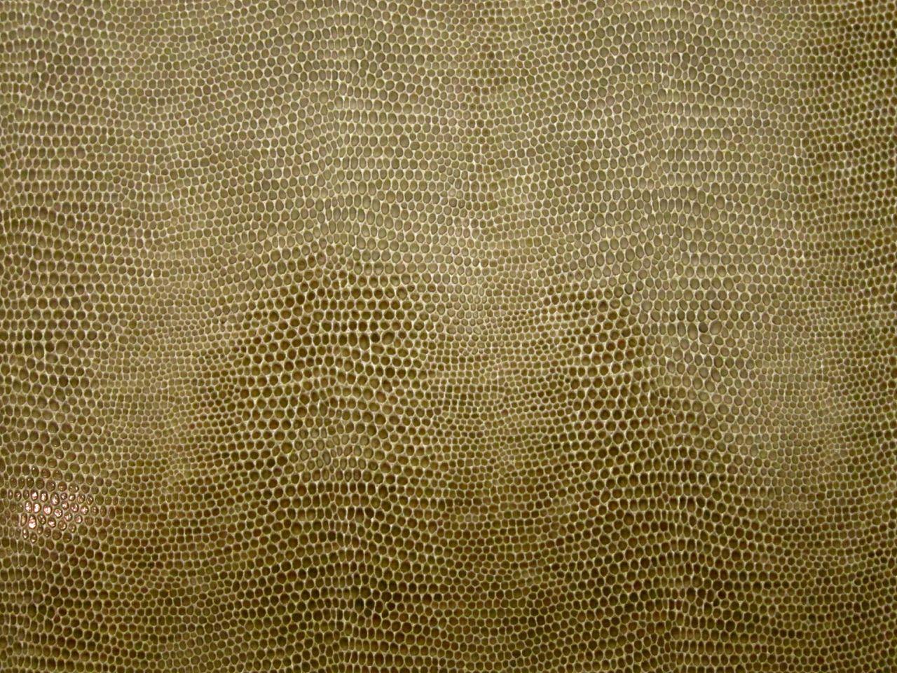 Snake Upholstery Vinyl in Driftwood0