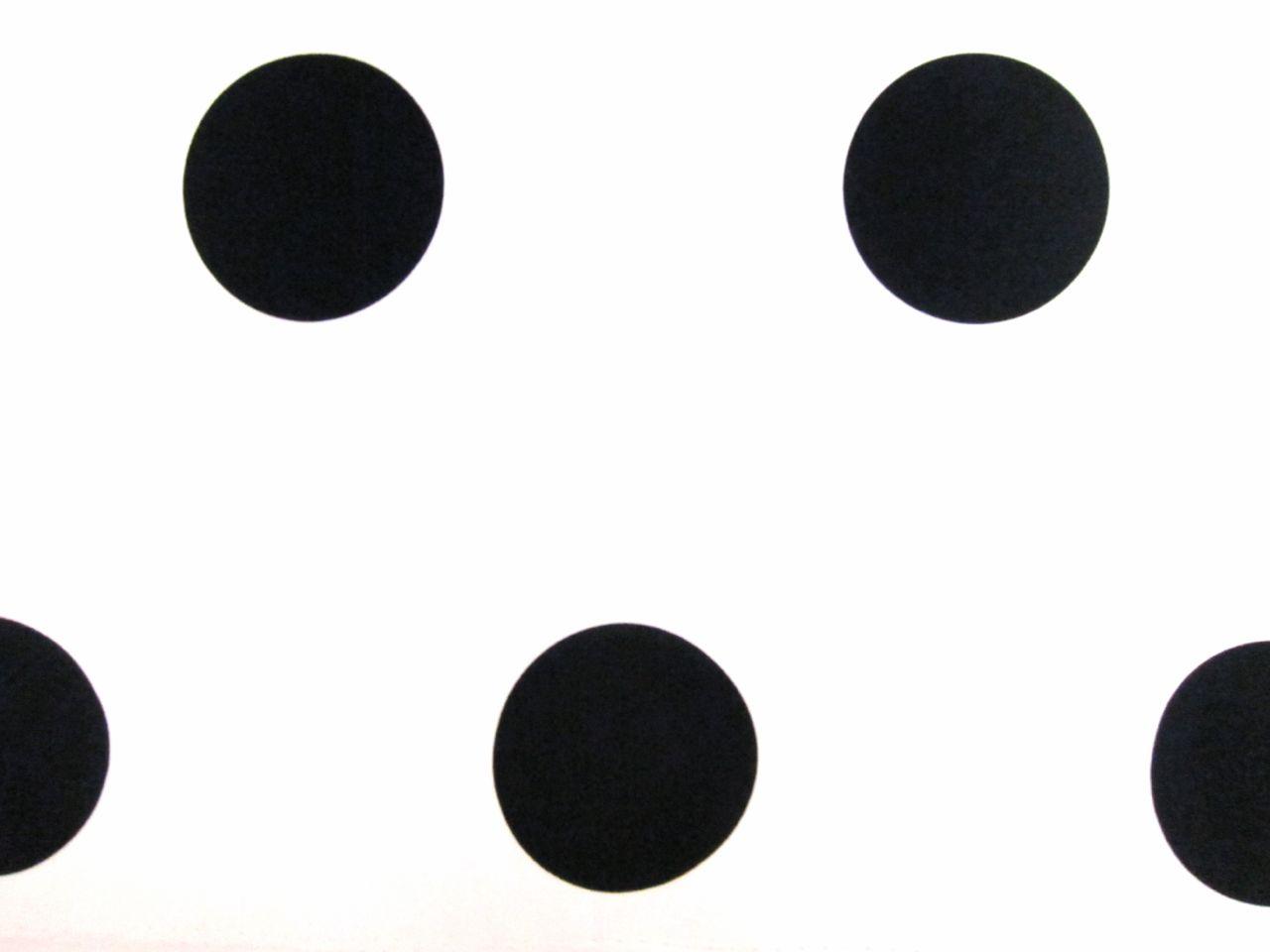 Printed Silk Charmeuse0