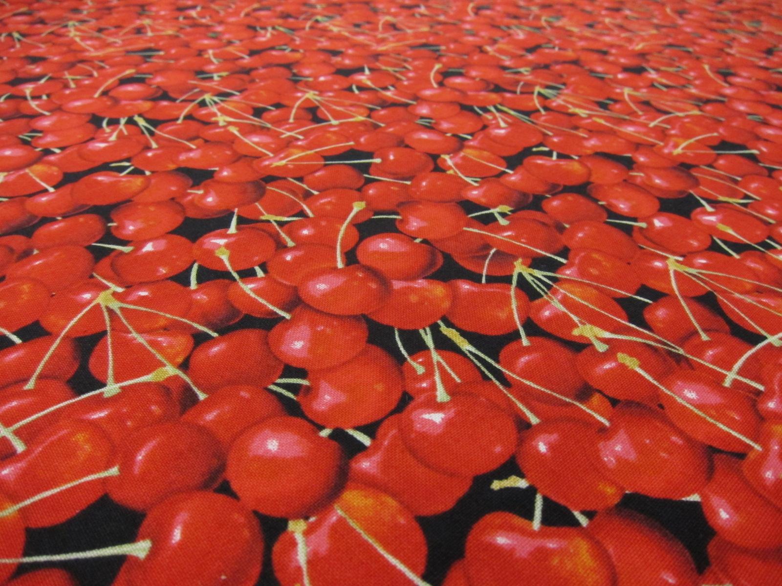 Cotton Broadcloth Print2