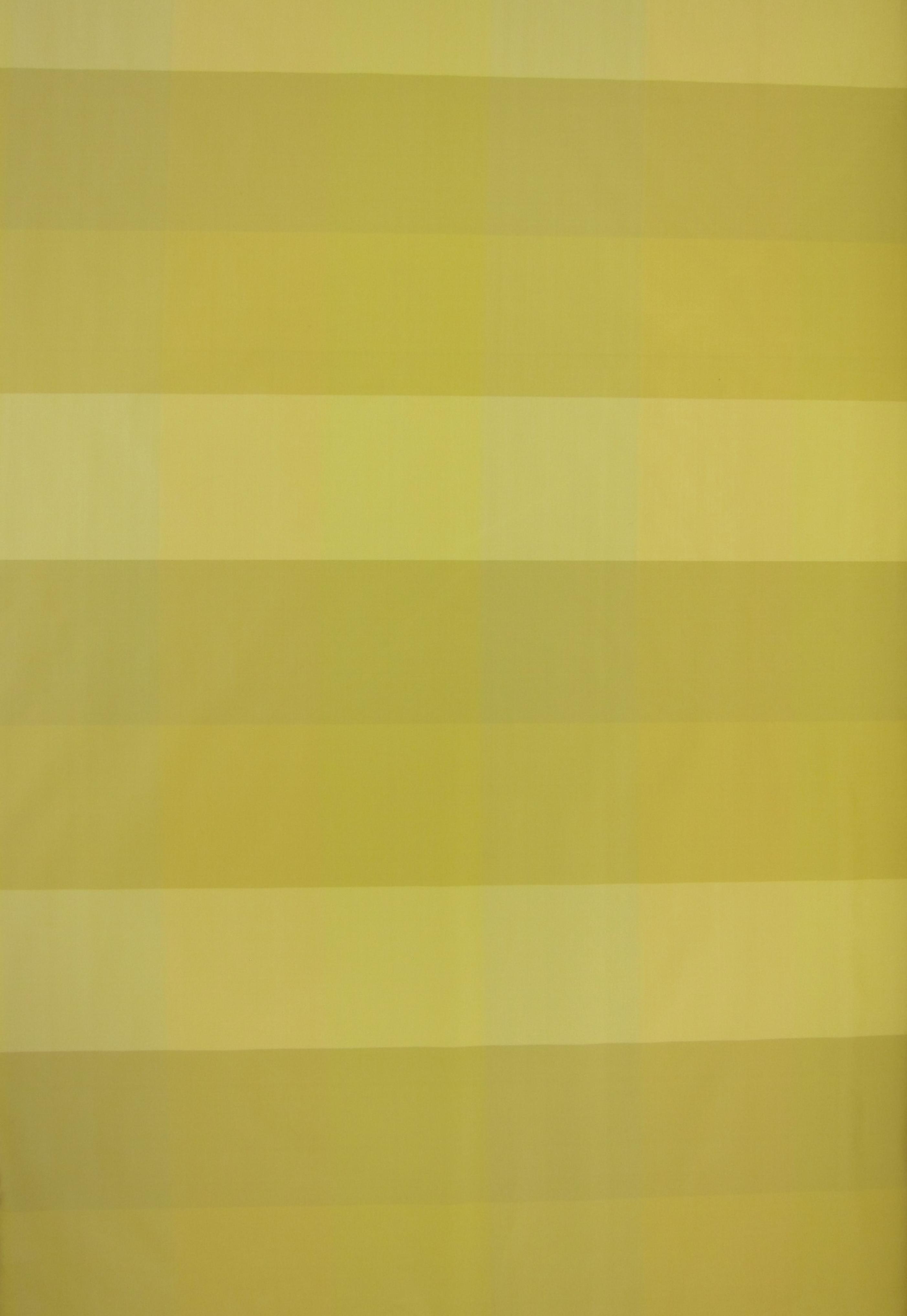 Pure Silk Taffeta Check0