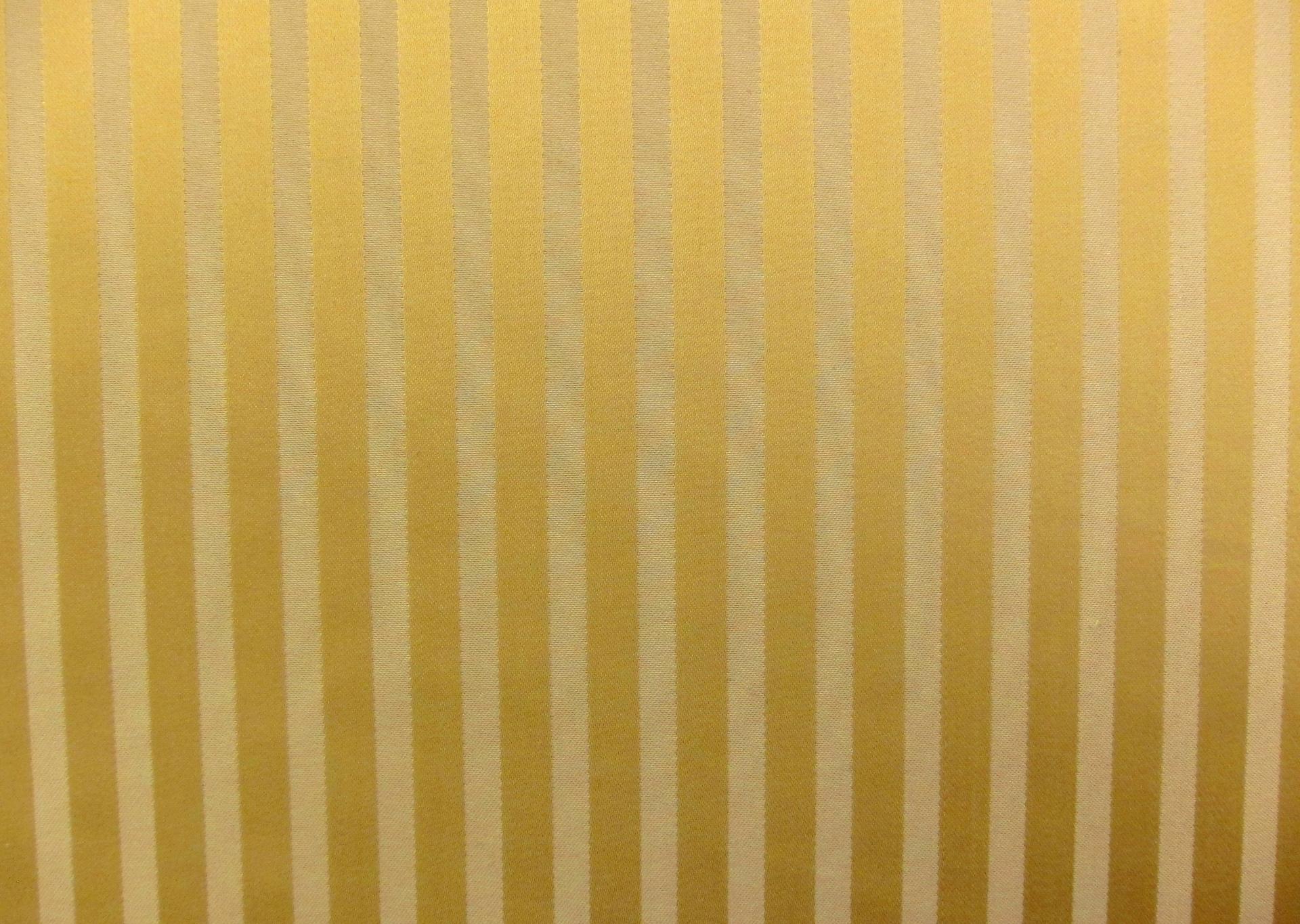 Silk Stripe Brocade0