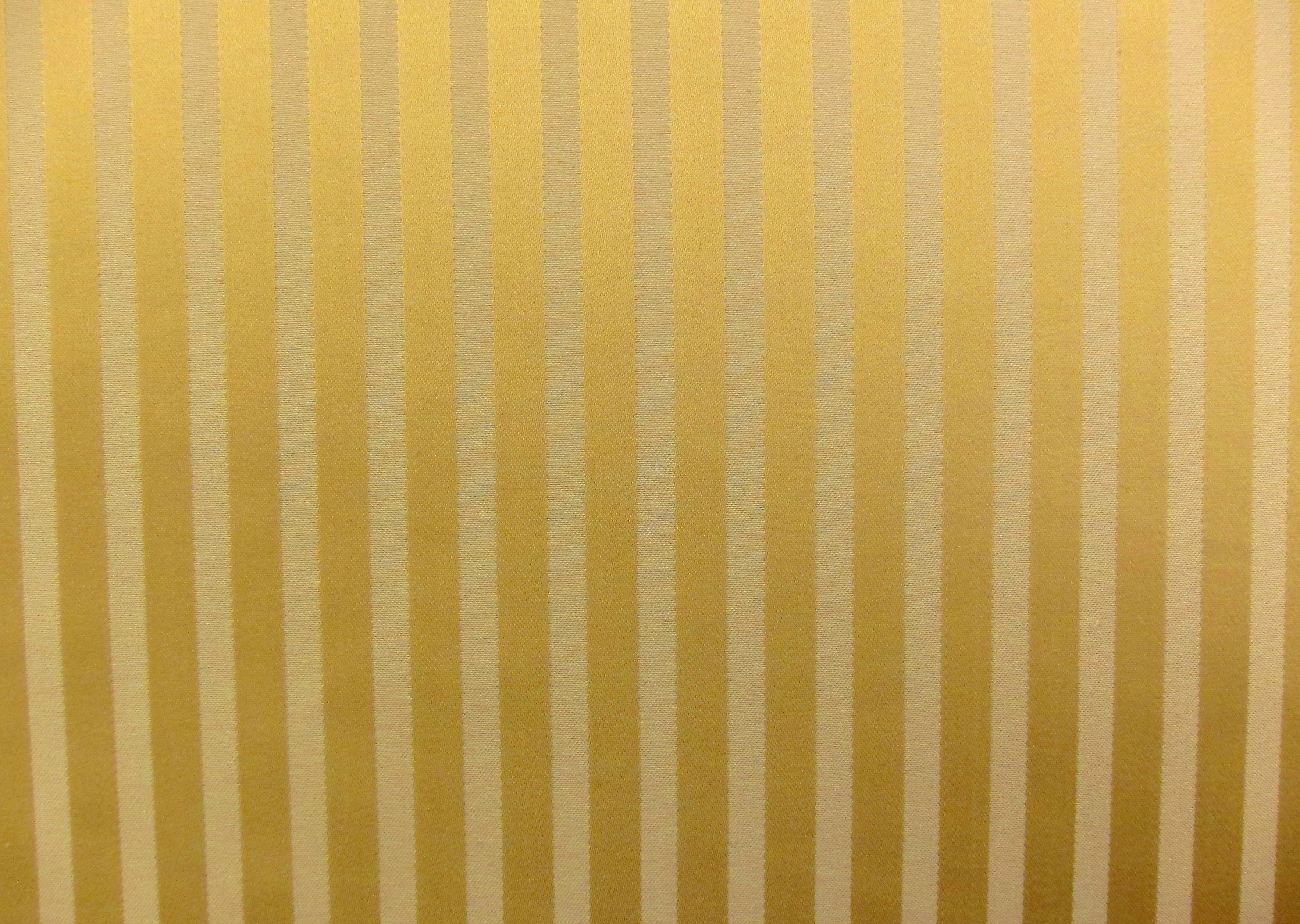 Silk Stripe Brocade0