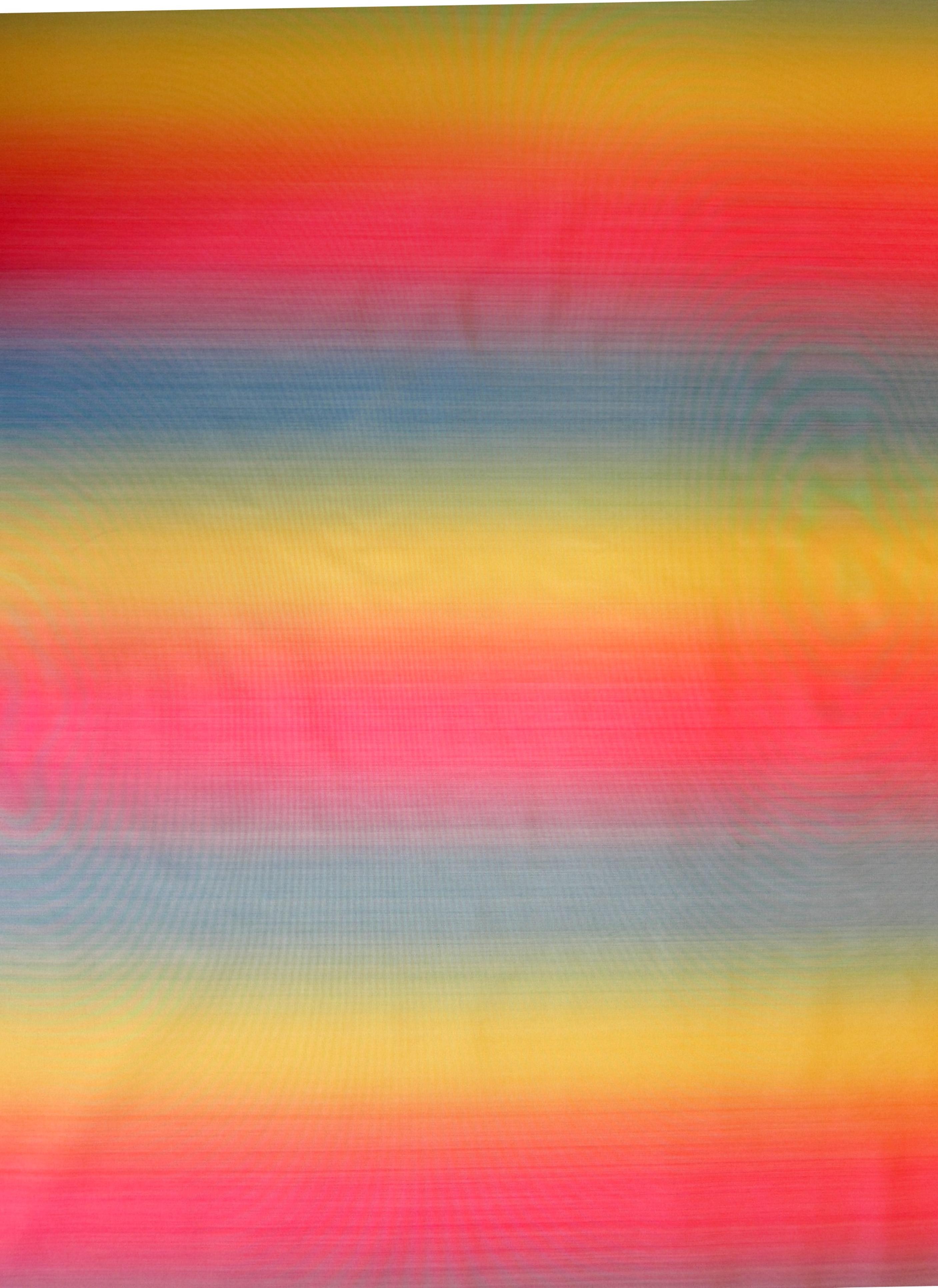 Silk Warp Printed Taffeta0