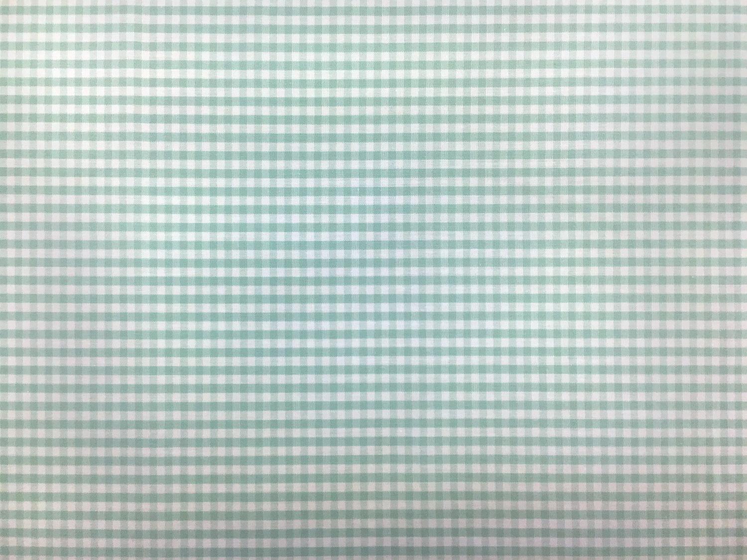 1/8" Cotton Gingham in Seafoam0