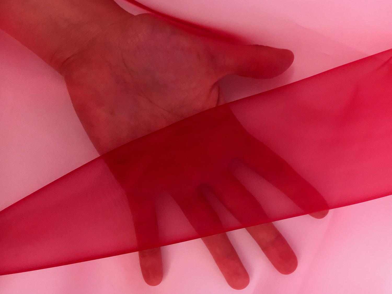 Japanese Polyester Extra Fine Organza in Scarlet1