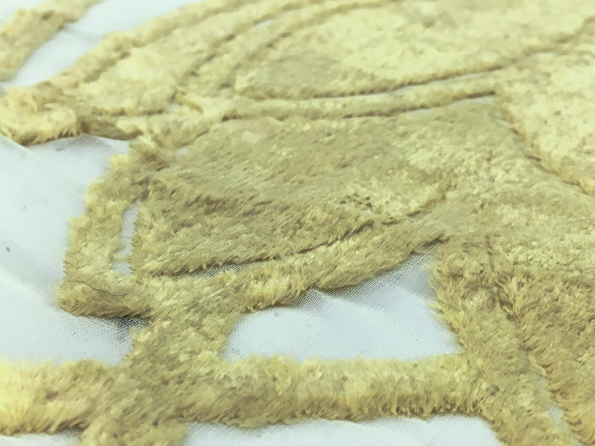 Burnout Velvet on Silk Chiffon (Mint Chiffon)3