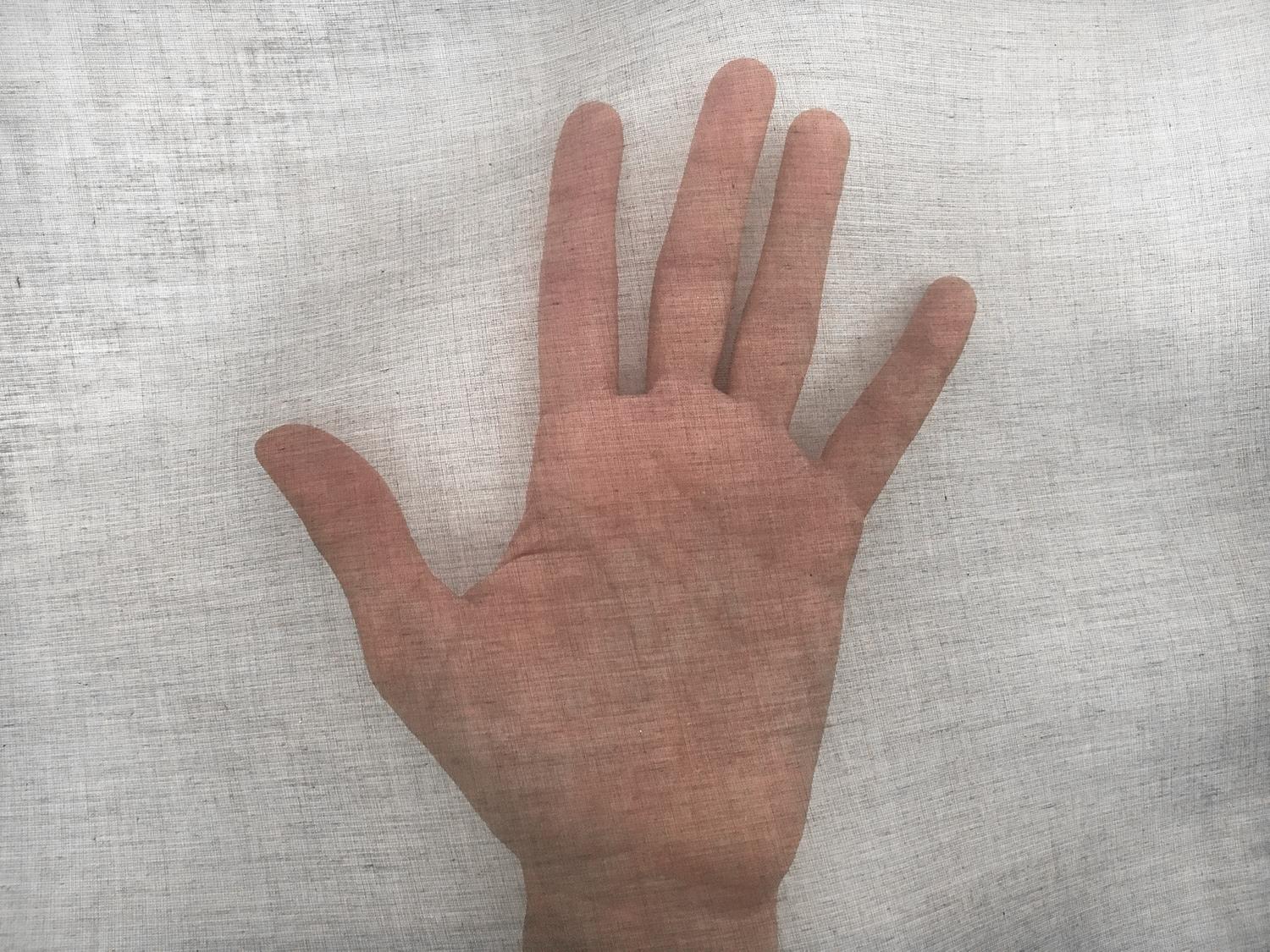 Swiss Cotton Organdy in Brown2