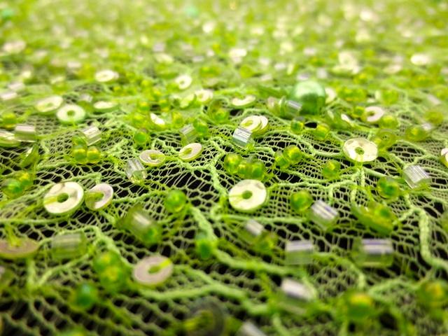 Beaded Chantilly Lace2