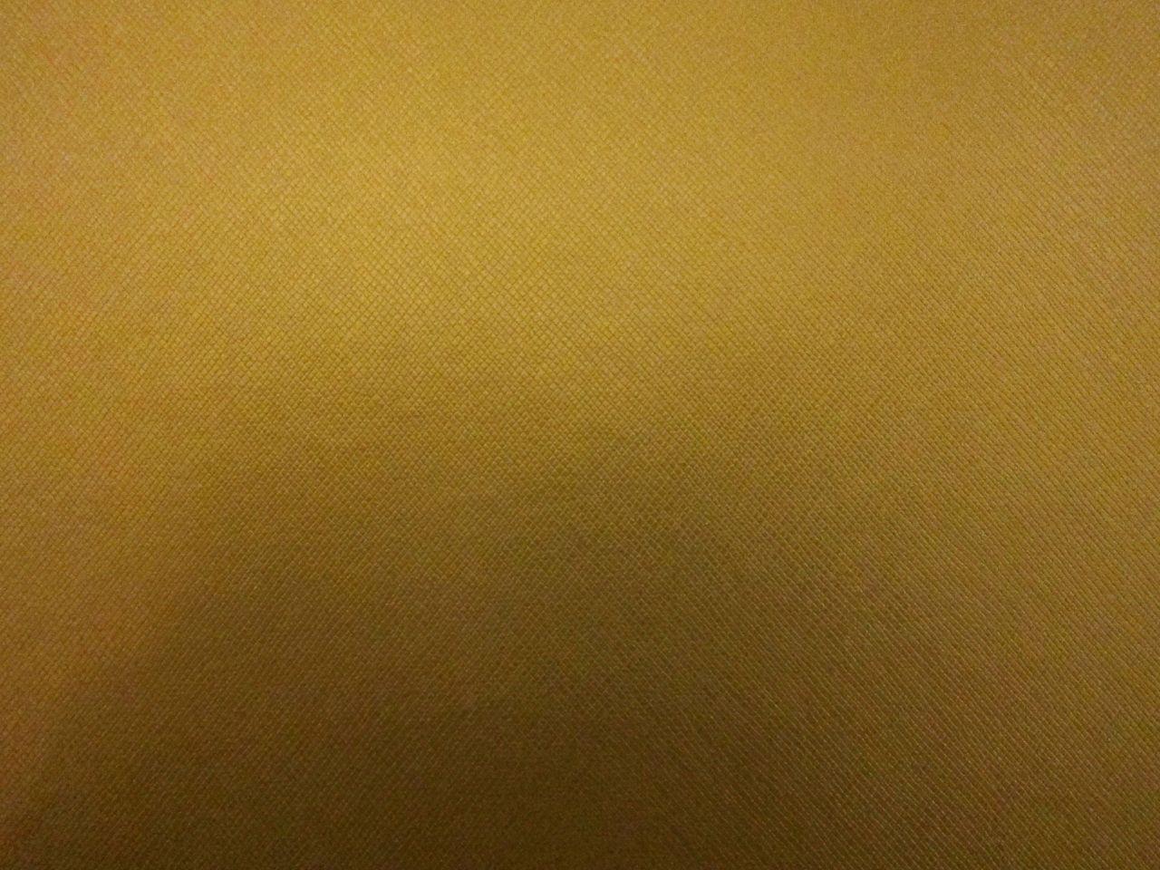 Coach Metallic Faux Leather in Antique Gold0