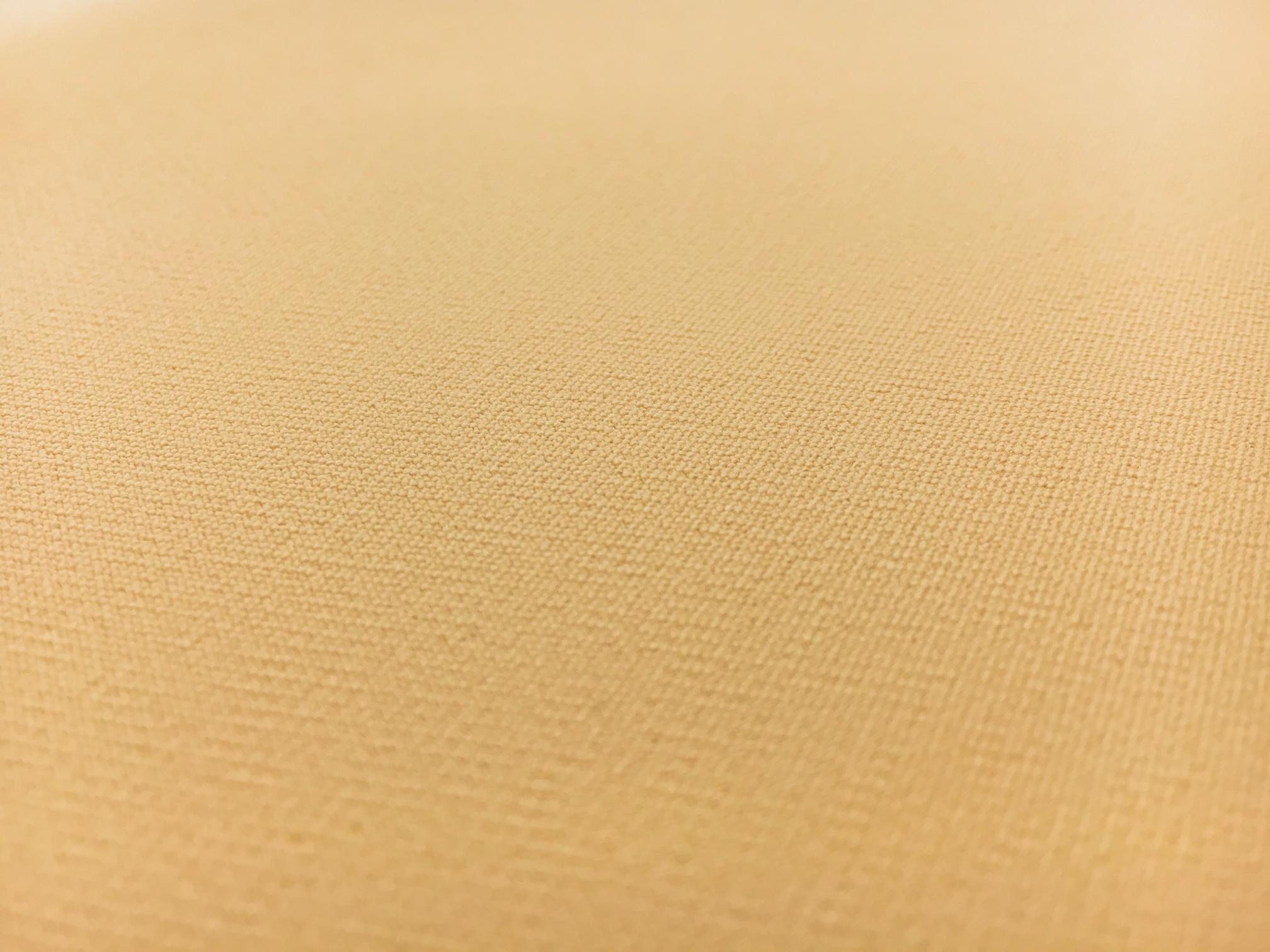 Polyester Stretch Crepe in Nude1