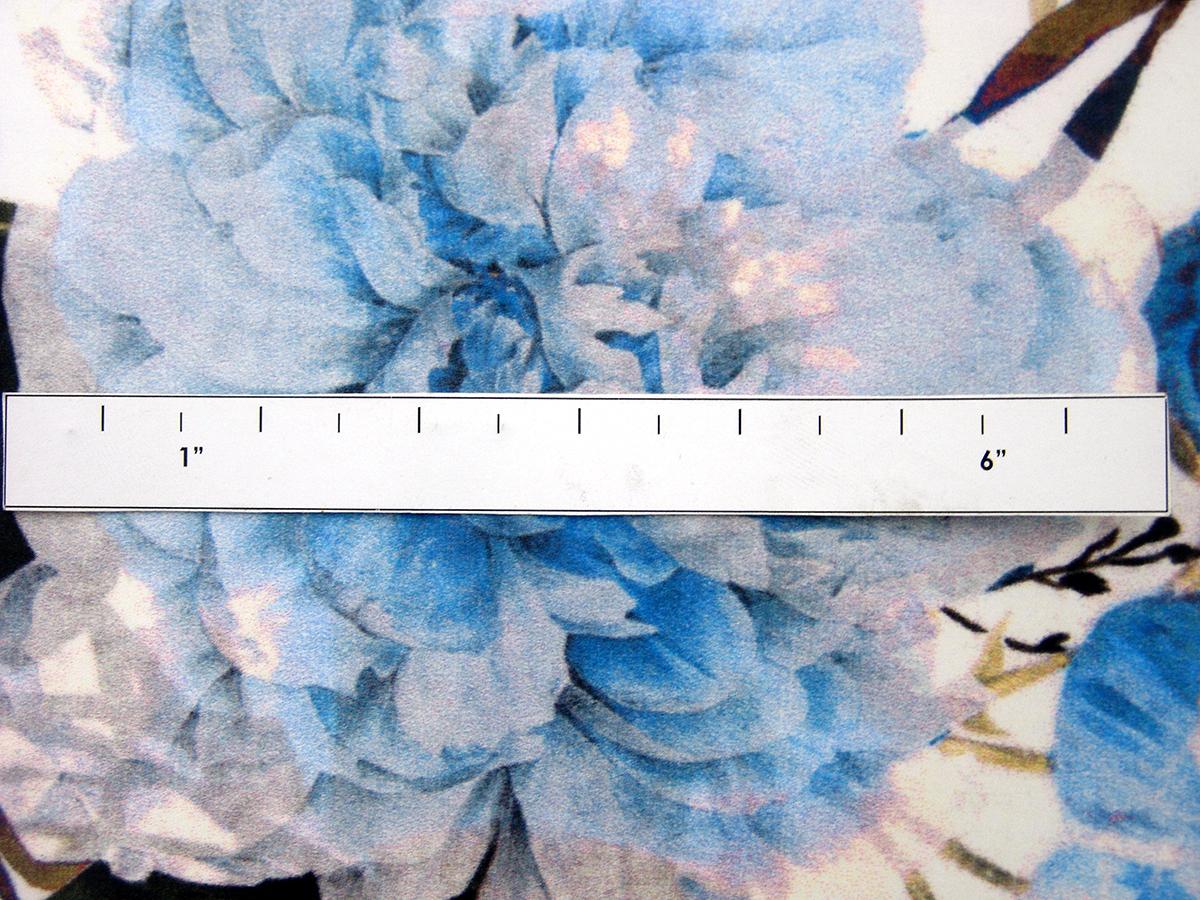 Printed Silk Charmeuse2