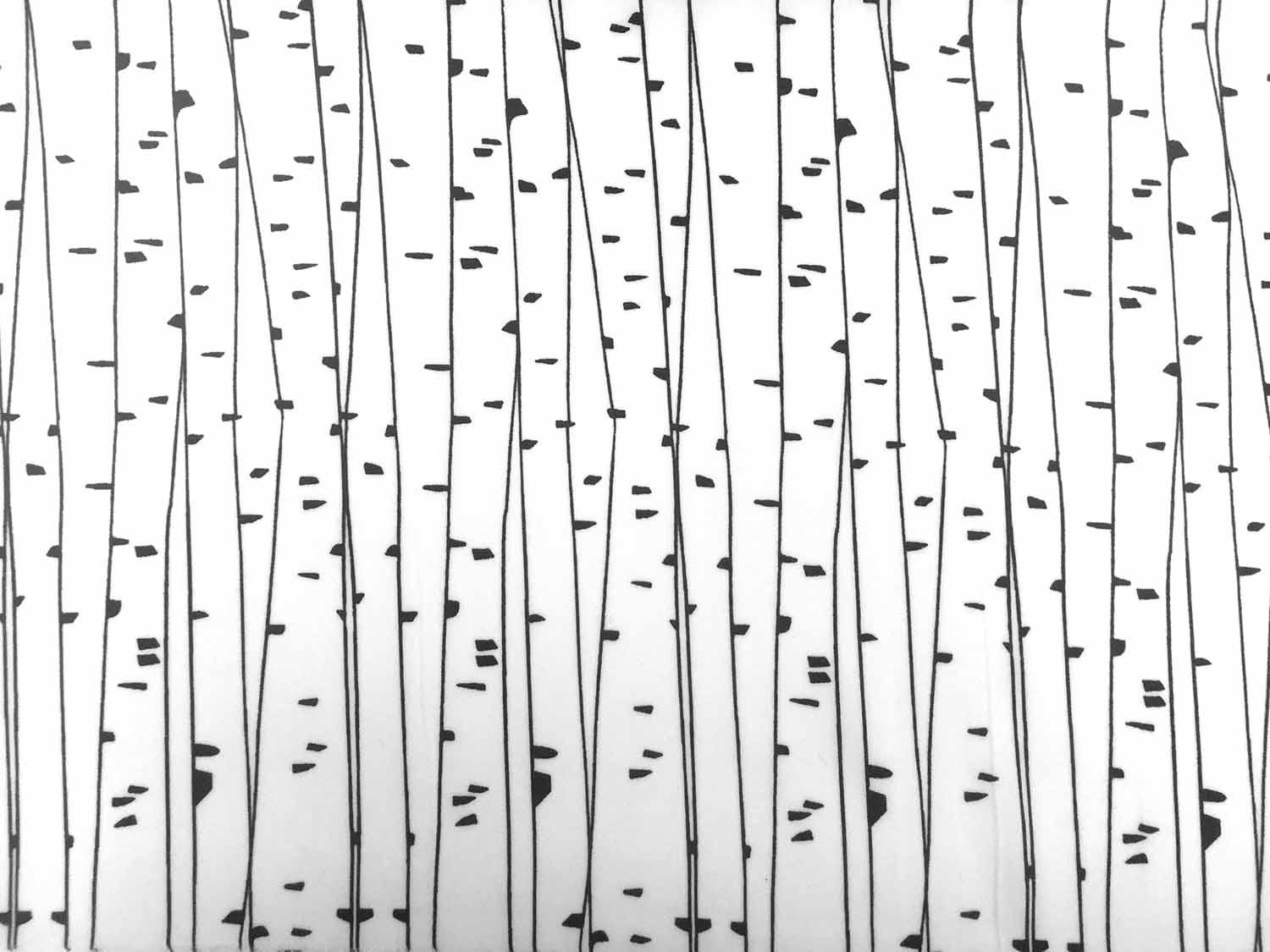 Poly Crepe de Chine Print0