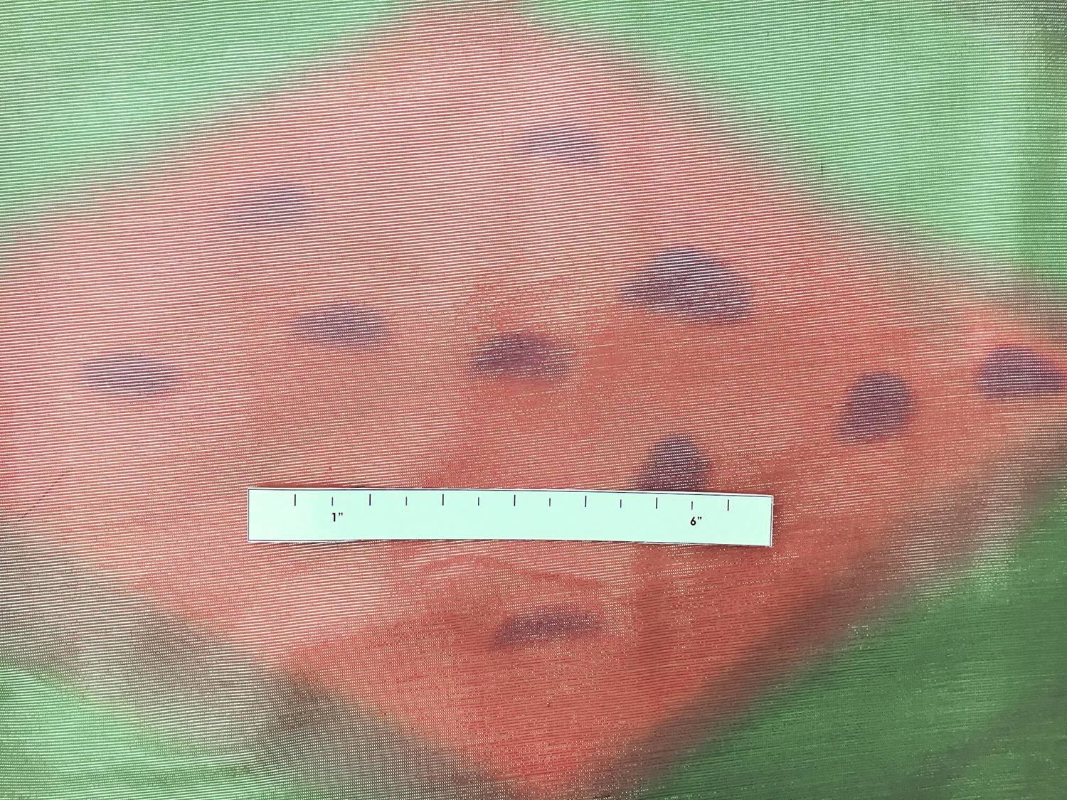 Printed Silk Lamé1