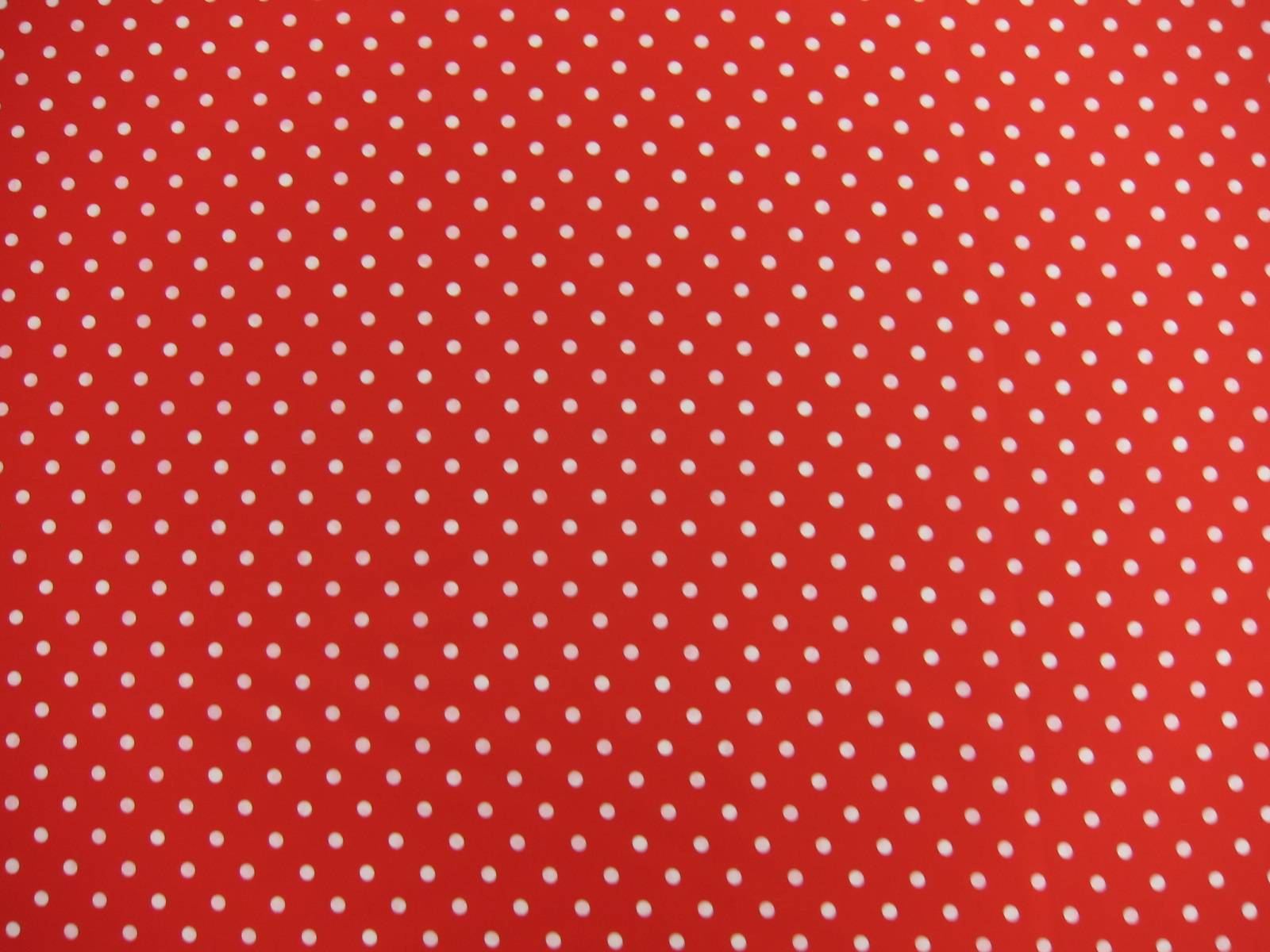 Printed Silk Charmeuse1