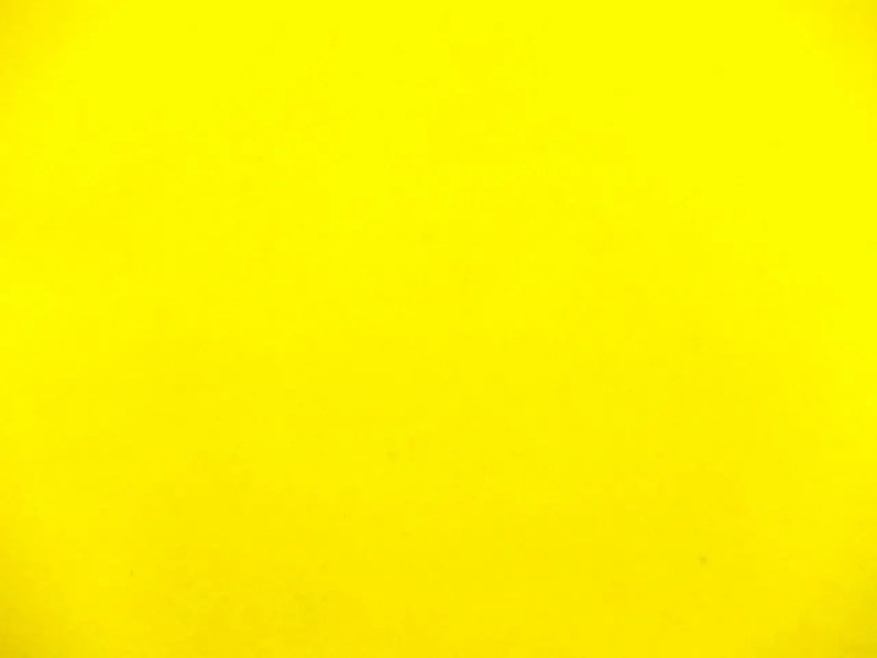 Merino Wool Felt 1MM in Yellow0