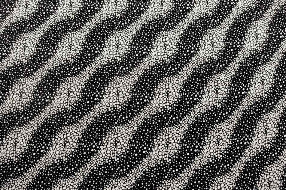 Printed Silk Charmeuse0
