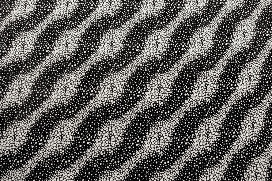 Printed Silk Charmeuse Stripe in Black White Background