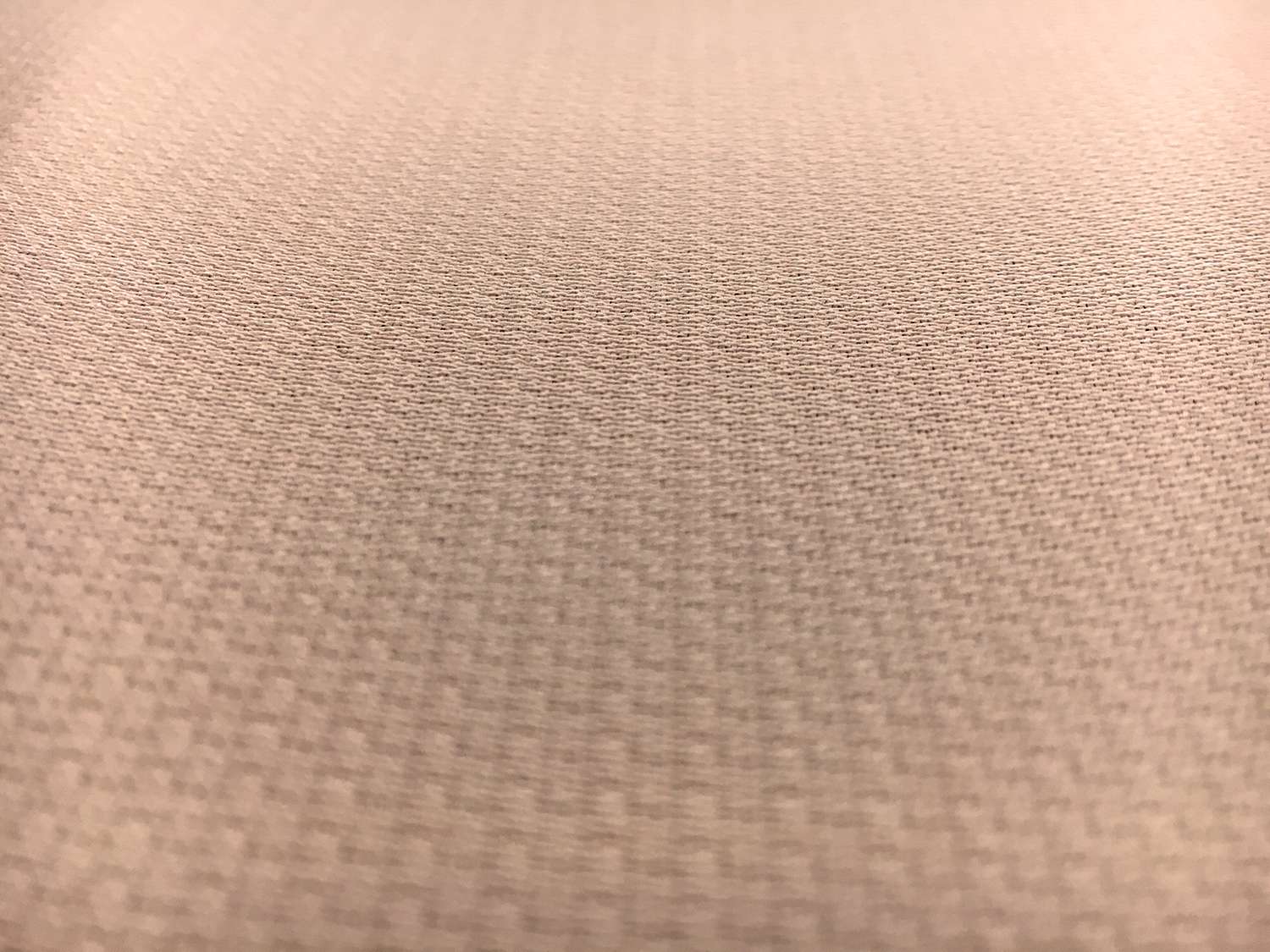 Heavy Silk and Wool Gazar in Nude0