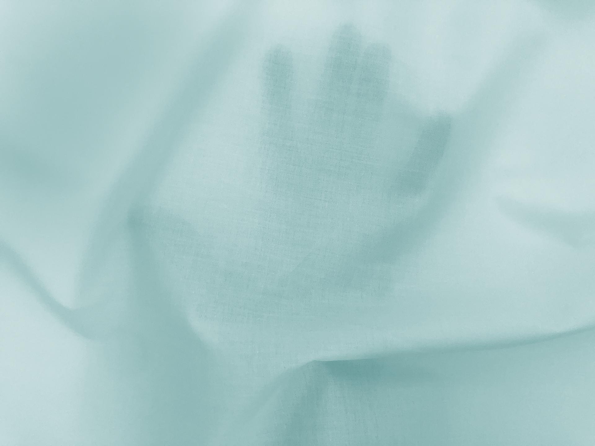 Cotton Lawn in Robin Blue2