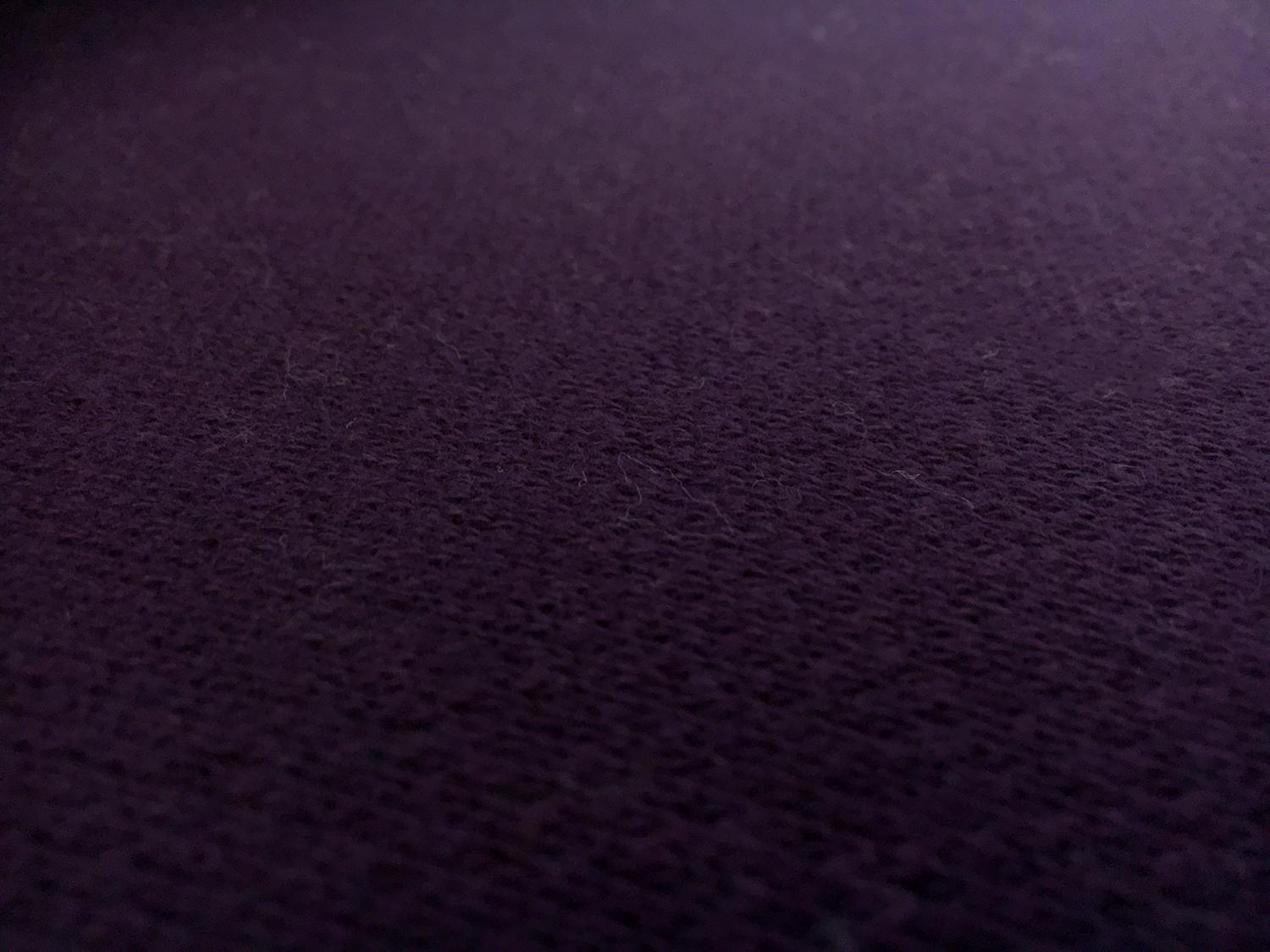 Large Loop Cotton French Terry Knit in Plum2