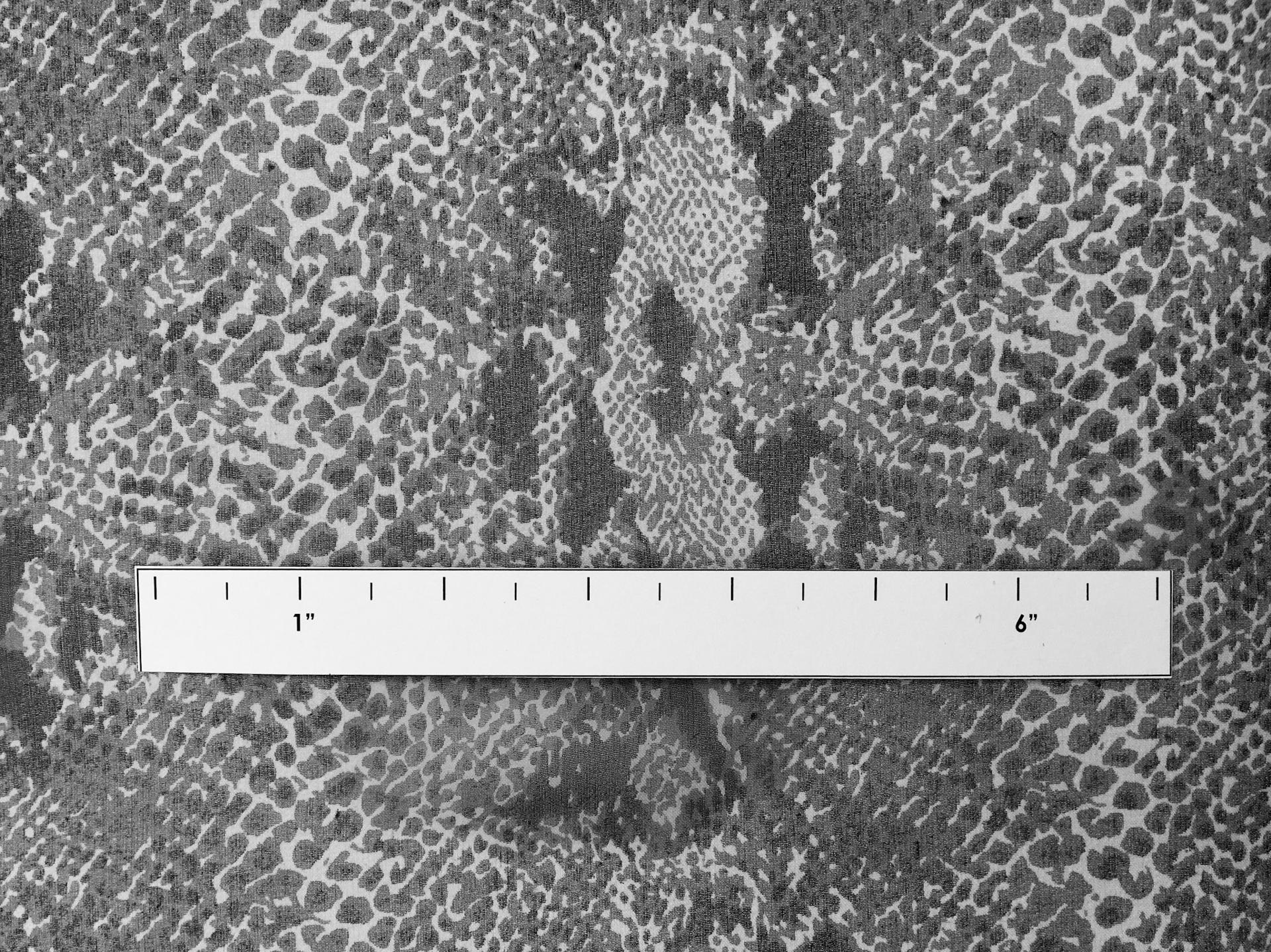 Printed Silk Chiffon1