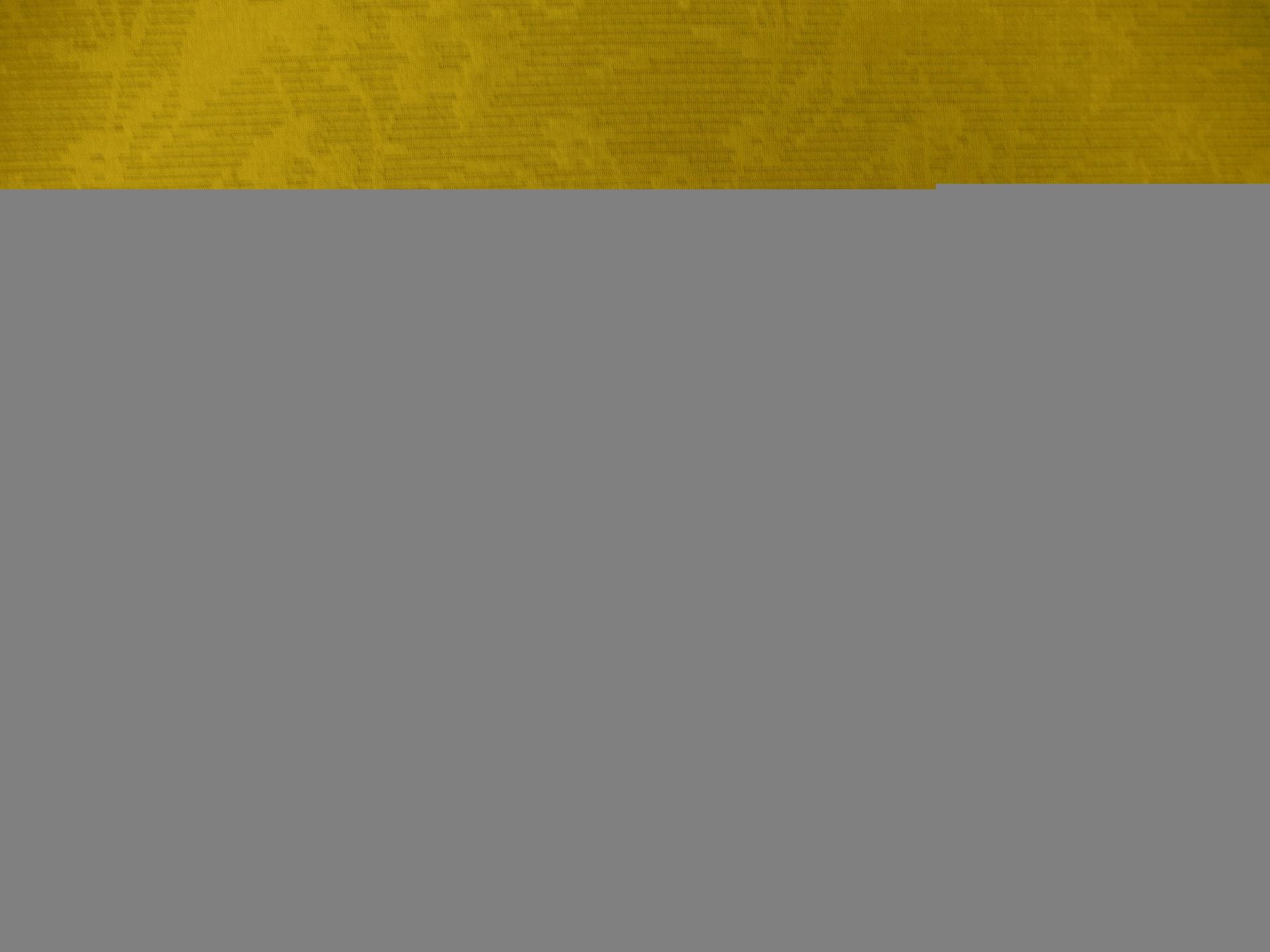 100% Silk Ottoman Brocade0