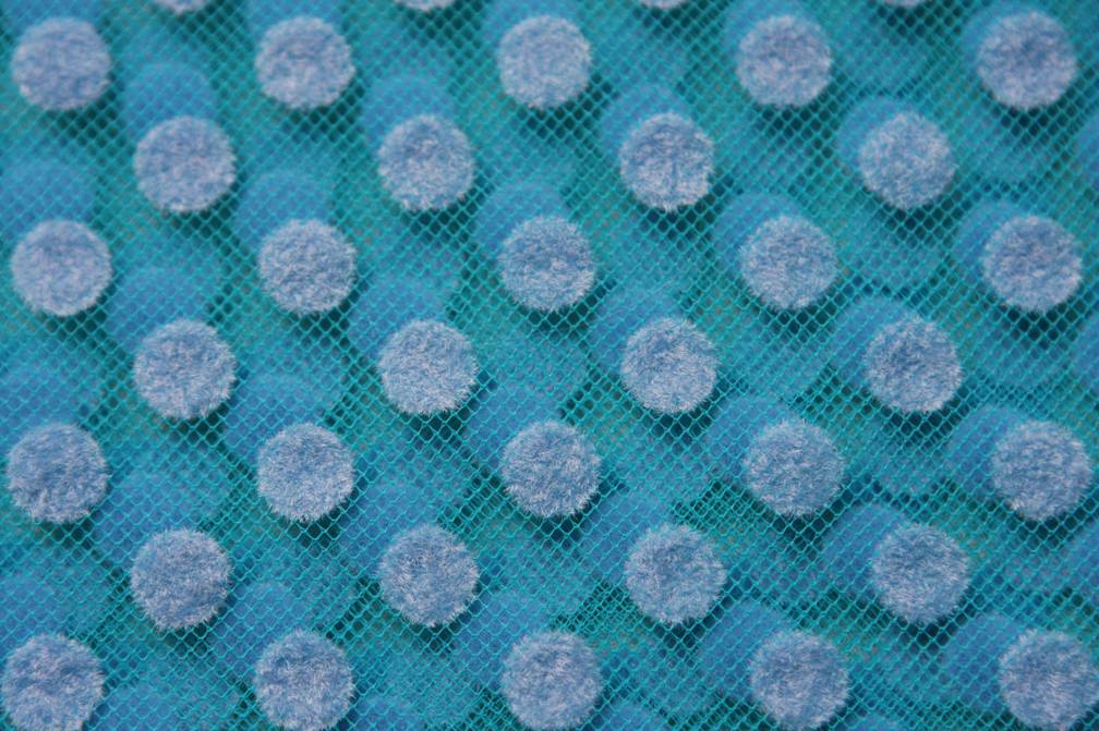 Flocking on Tulle3