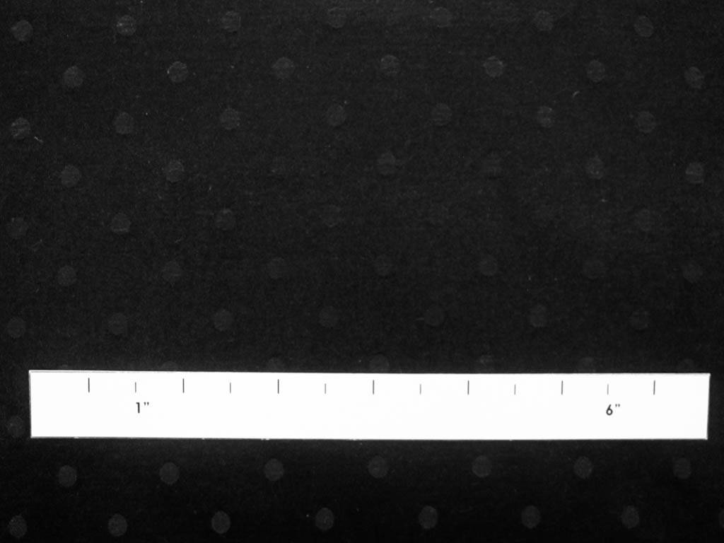 Polka Dot Lining1