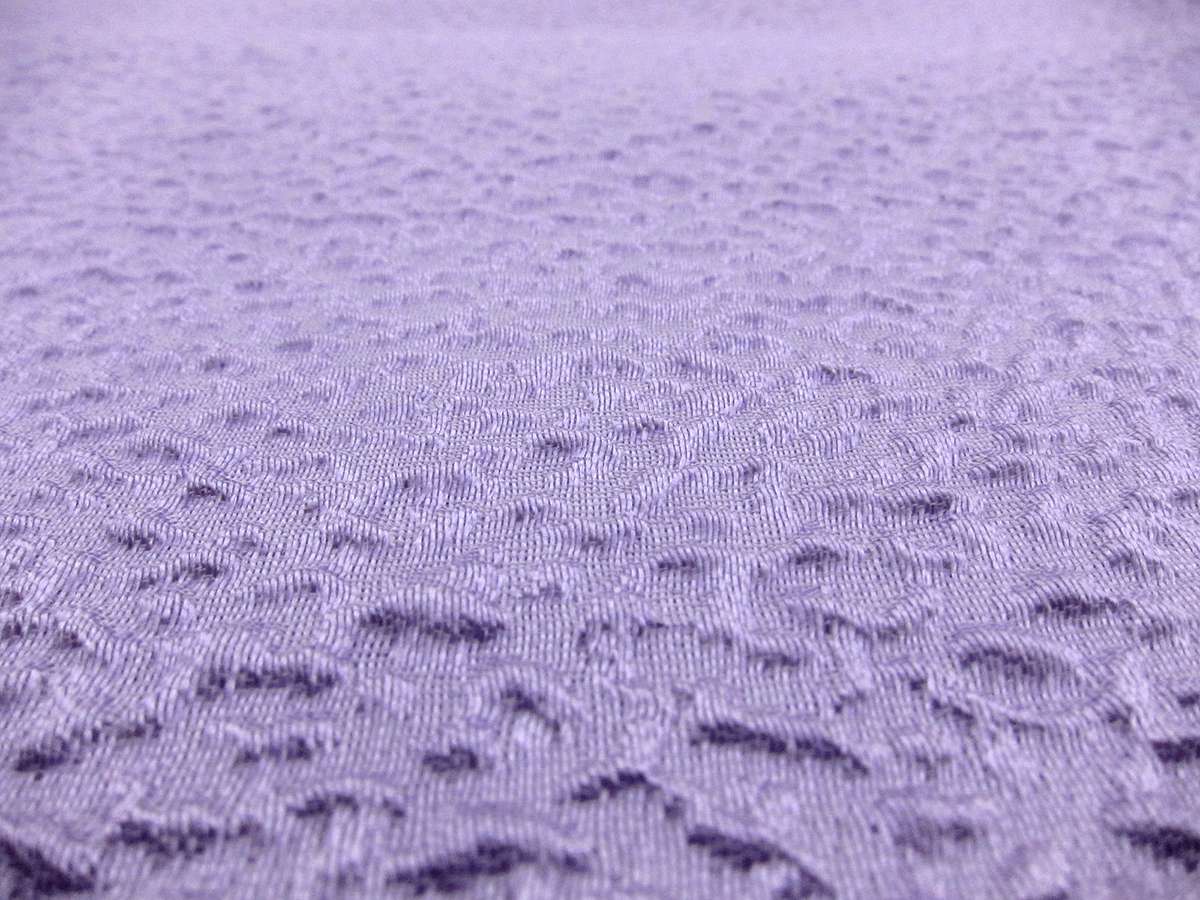 Silk Blend Organza Cloqué0