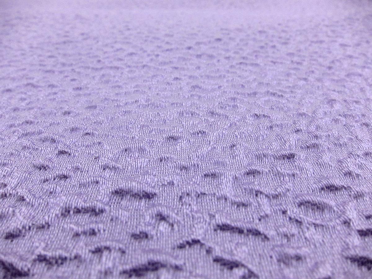 Silk Blend Organza Cloqué0