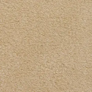 UltraSuede Soft Chamois0