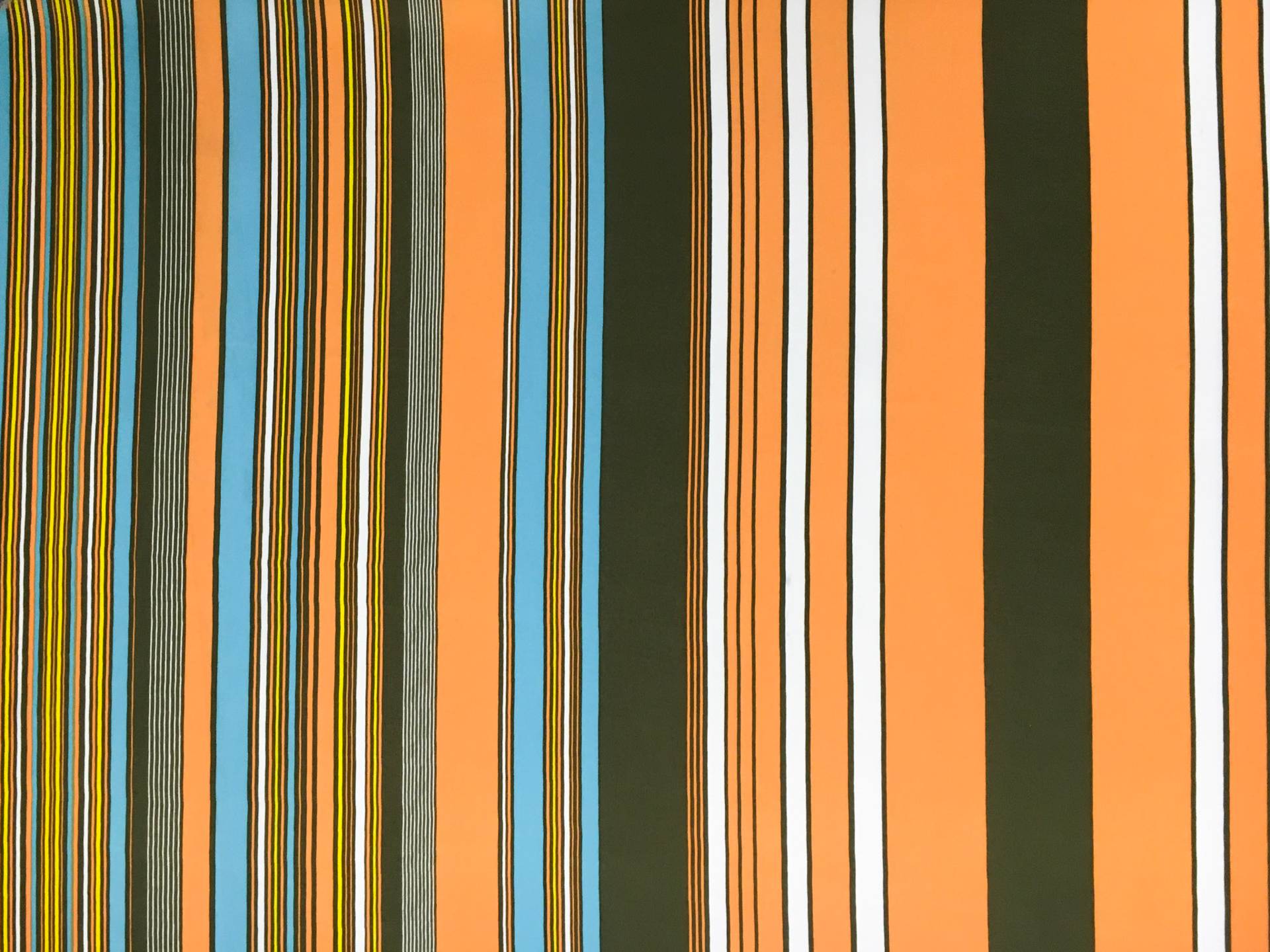 Printed Silk Charmeuse0