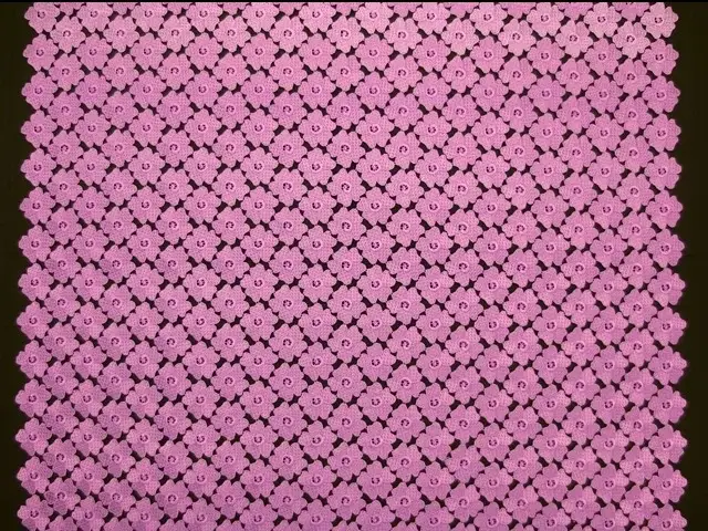 Guipure Lace3