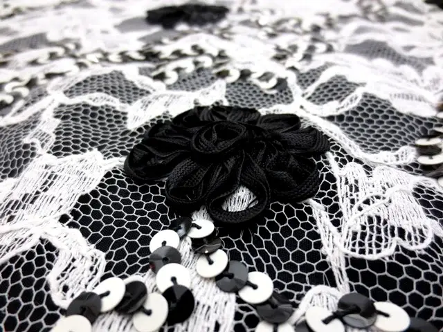 Ribbon Lace2
