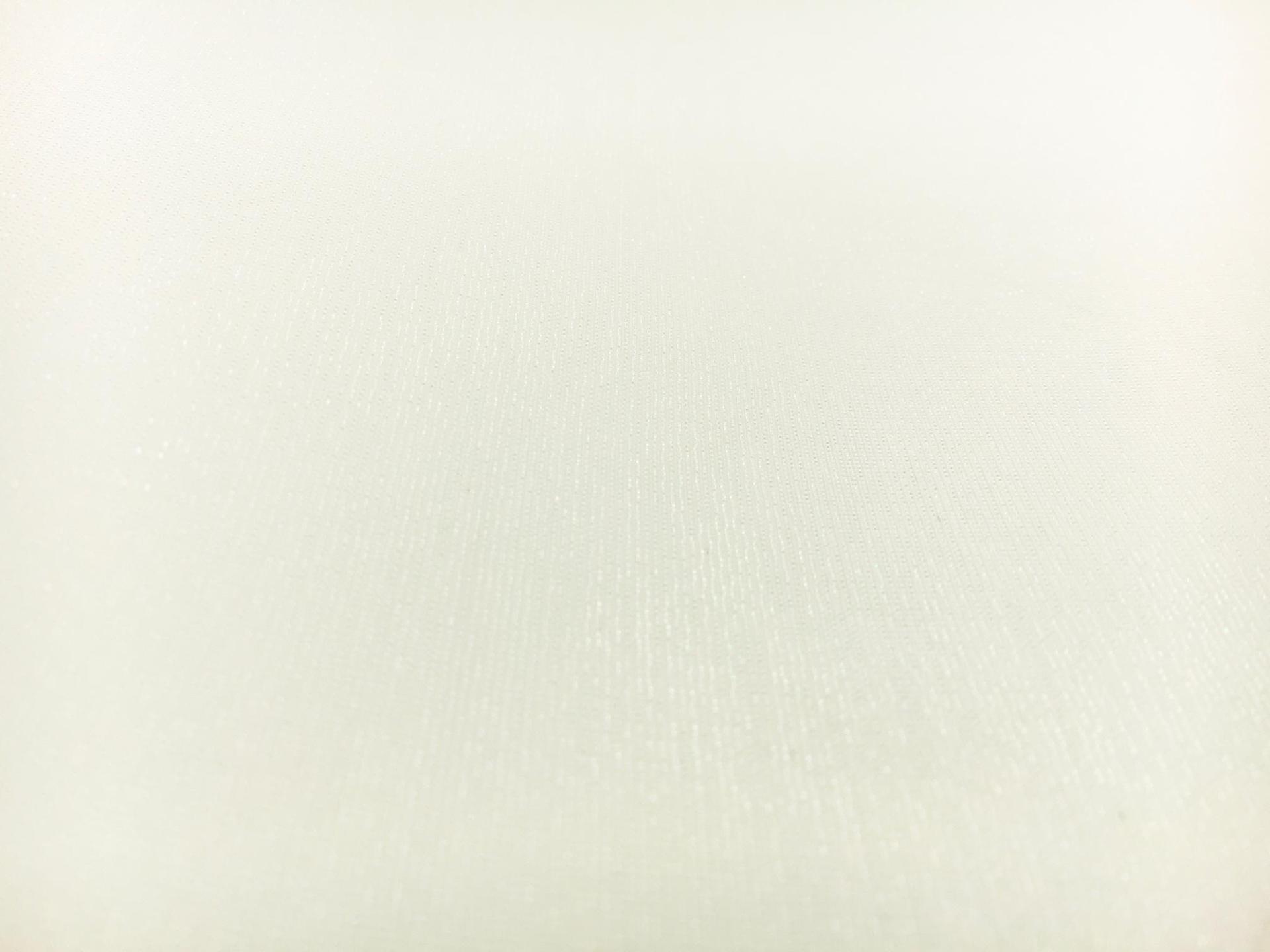 Italian Metallic Crinoline in Opalescent White1