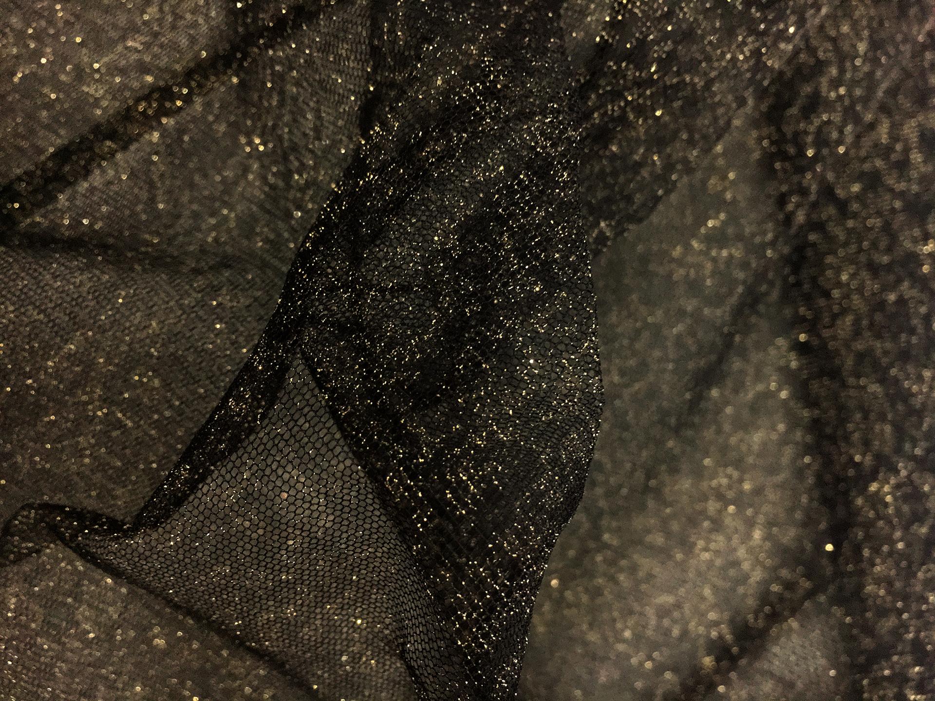 Metallic Nylon Tulle in Nero and Gold
