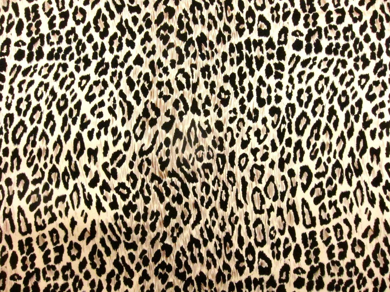 Printed Silk Charmeuse0